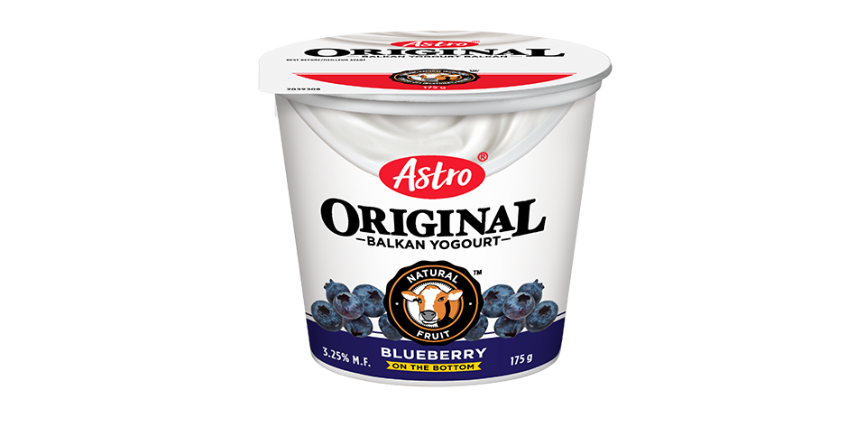 Astro Original Balkan Fruit on the Bottom Blueberry 175 g