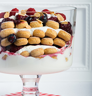 Vanilla Yogourt and Berry Trifle