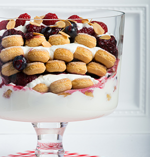 Bagatelle au yogourt à la vanille et aux petits fruits