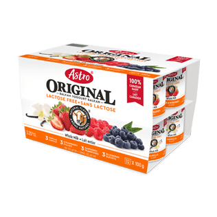 Astro® Original Lactose Free Vanilla / Strawberry / Raspberry / Blueberry 12 x 100 g