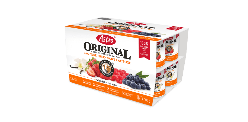 Astro® Original Lactose Free Vanilla / Strawberry / Raspberry / Blueberry 12 x 100 g